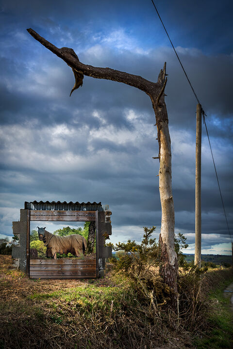 © Christian Siloé Photographe Série: Le portail de la BREIZH: Le cheval enfermé